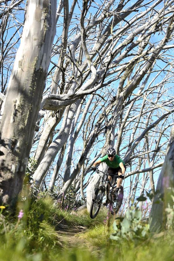 Ski Club Of Victoria - Ivor Whittaker Lodge Mount Buller Buitenkant foto